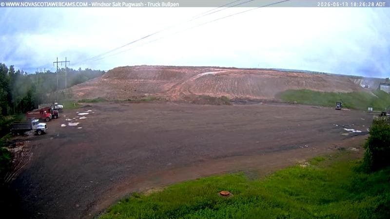 Windsor Salt