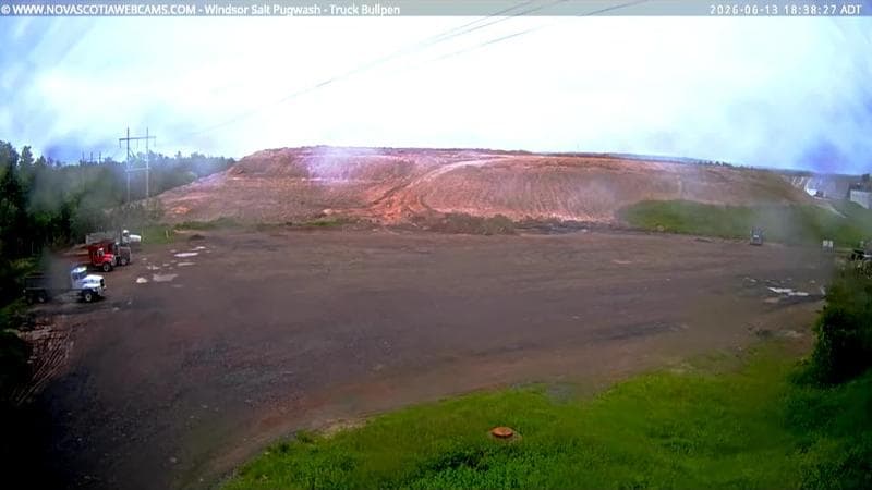 Windsor Salt