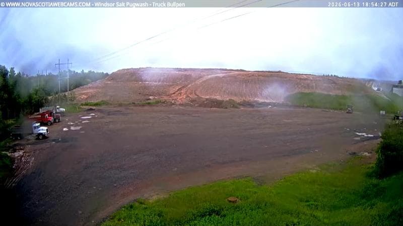 Windsor Salt