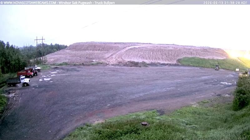 Windsor Salt