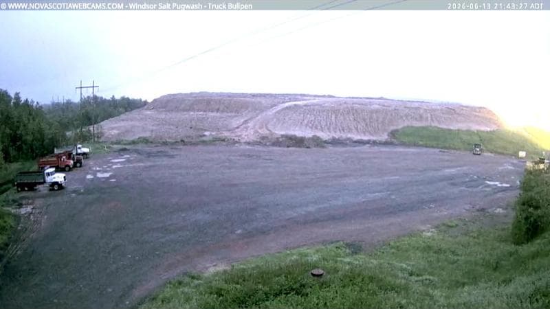 Windsor Salt