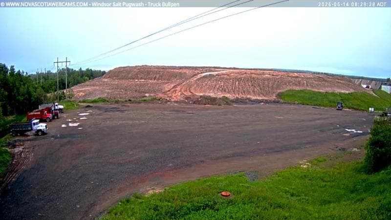 Windsor Salt