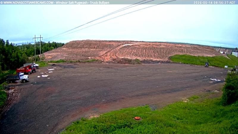 Windsor Salt