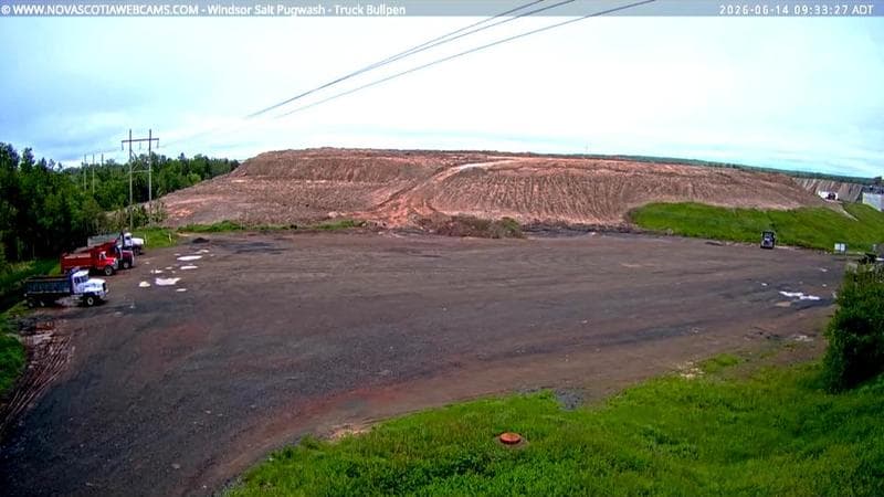 Windsor Salt