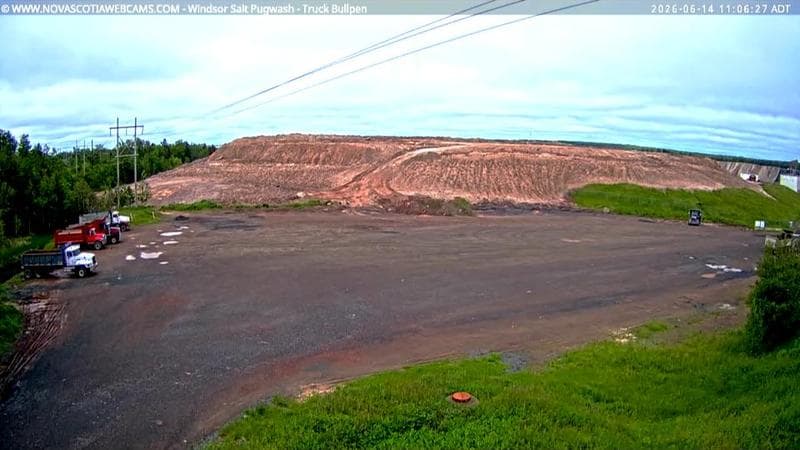 Windsor Salt