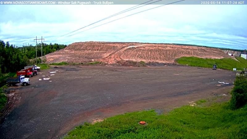 Windsor Salt