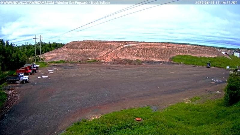Windsor Salt