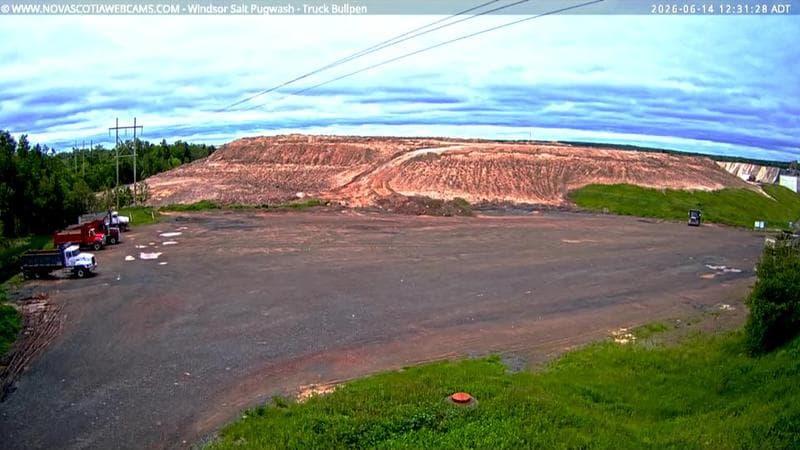 Windsor Salt
