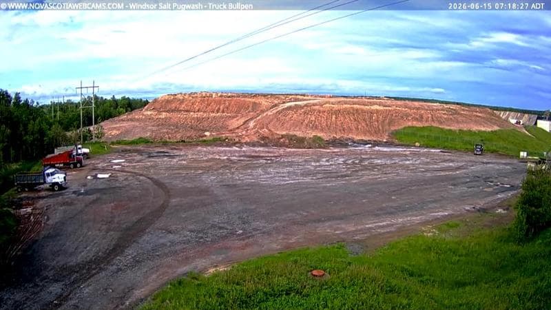 Windsor Salt