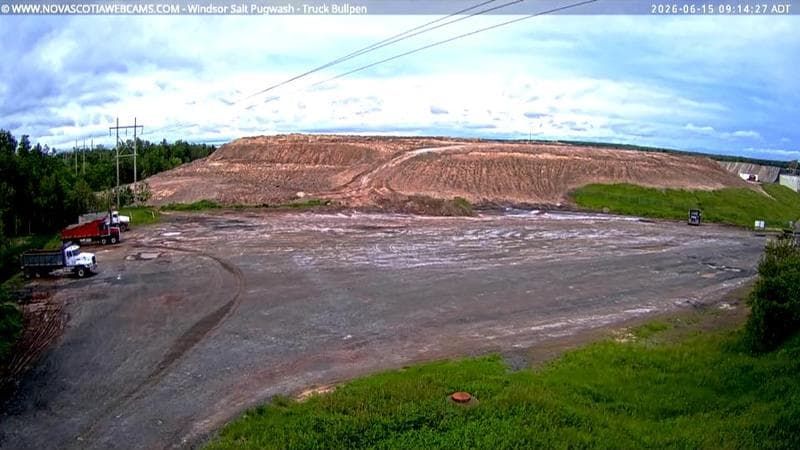 Windsor Salt