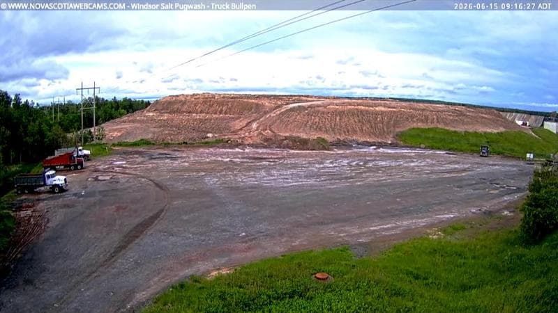Windsor Salt