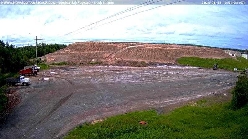 Windsor Salt