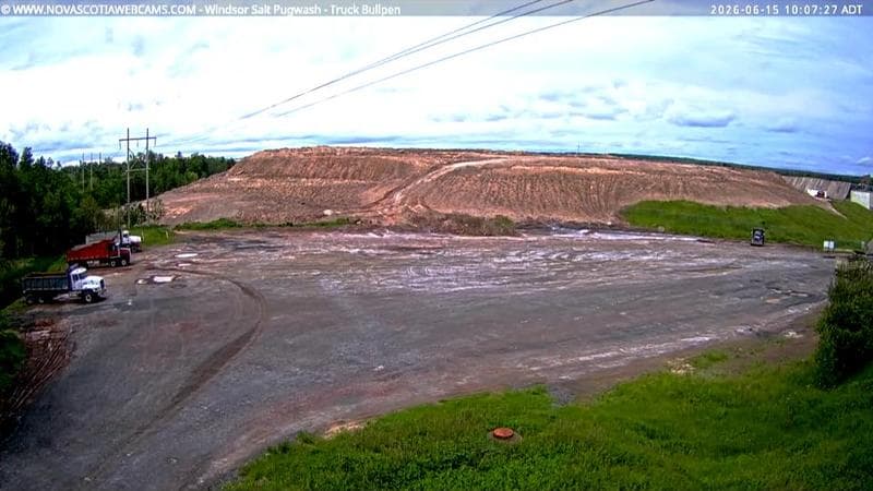 Windsor Salt