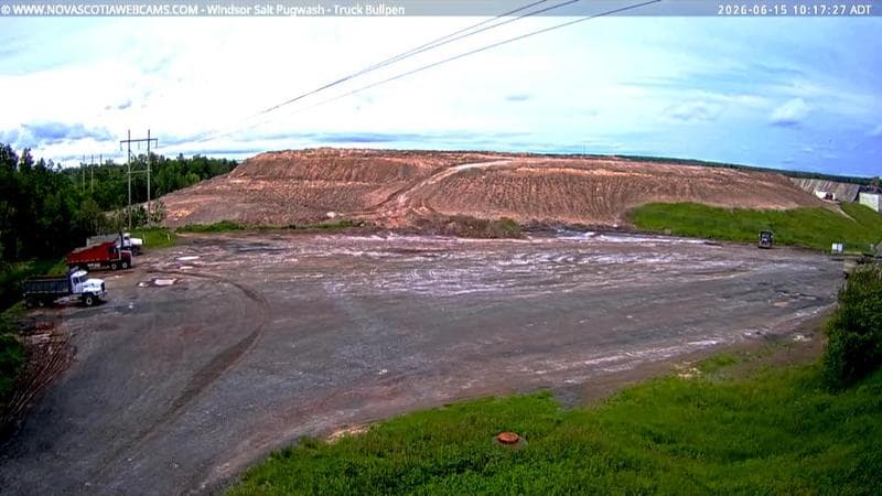 Windsor Salt