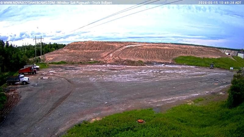 Windsor Salt