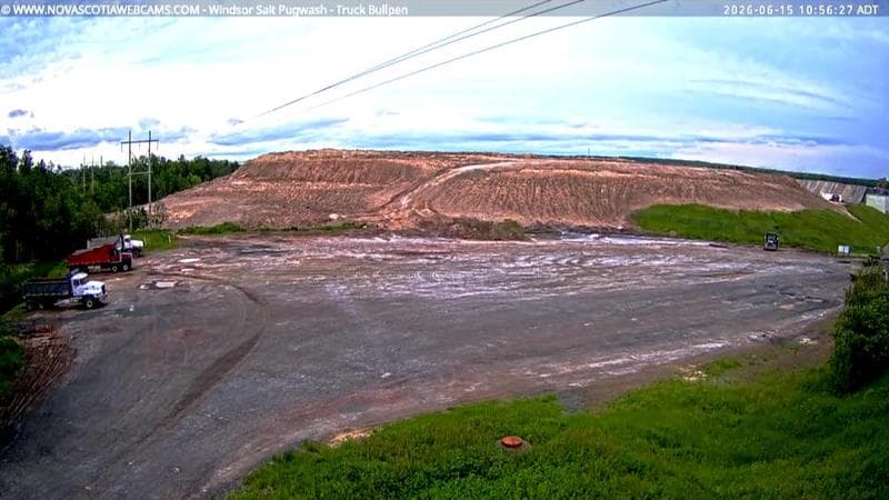 Windsor Salt