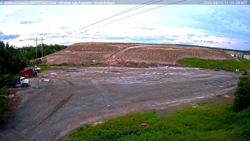 Windsor Salt
