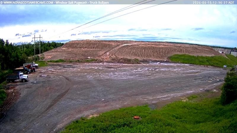 Windsor Salt