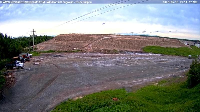 Windsor Salt