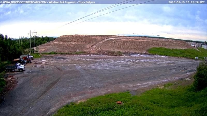 Windsor Salt