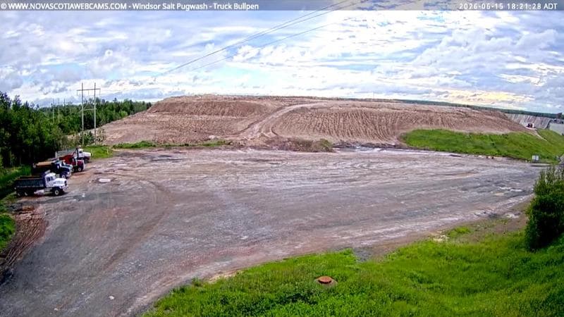 Windsor Salt