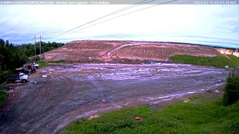 Windsor Salt