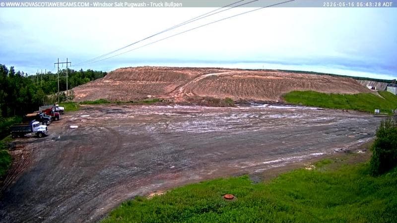 Windsor Salt