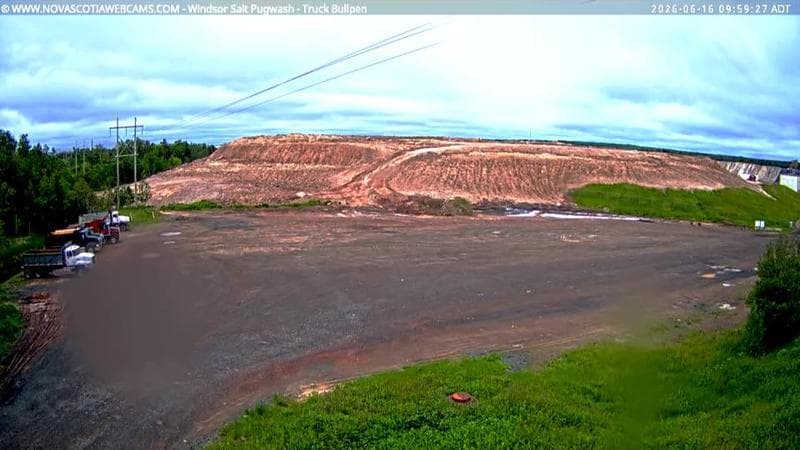 Windsor Salt