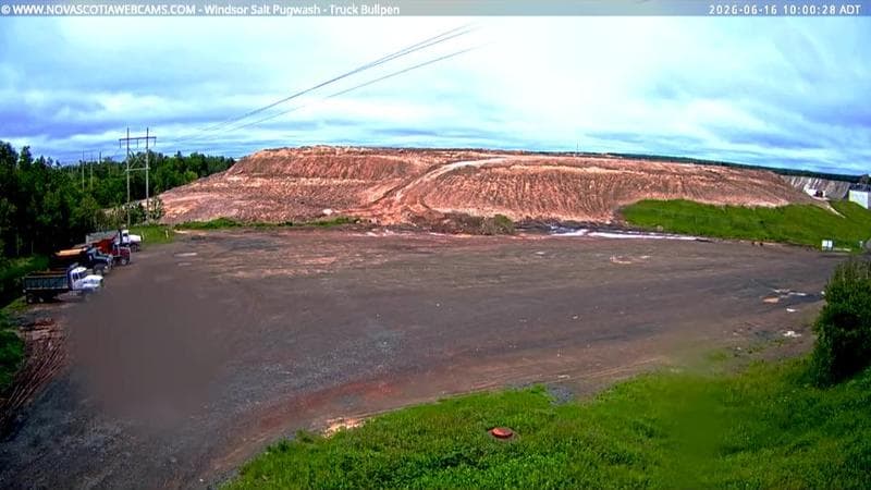 Windsor Salt