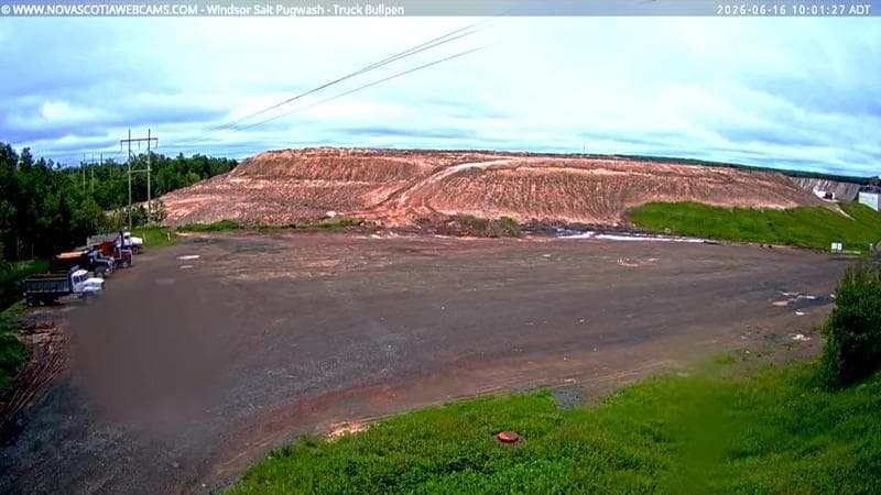 Windsor Salt