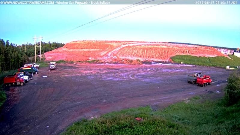 Windsor Salt