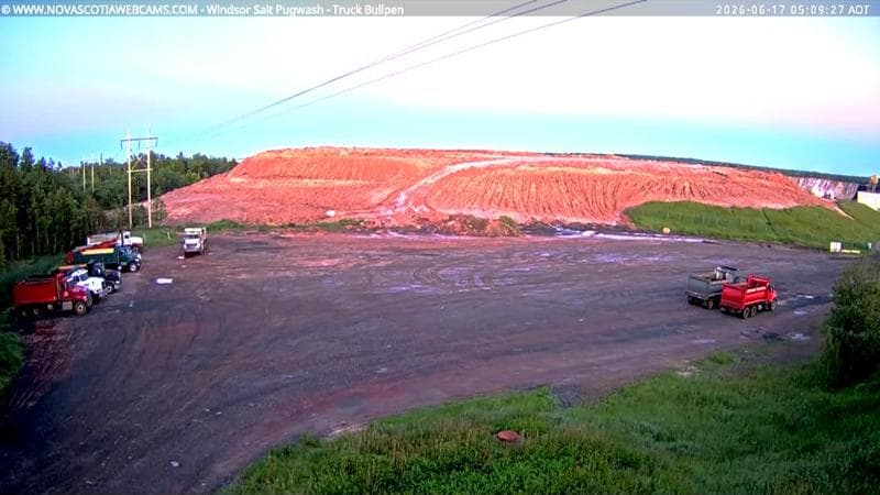 Windsor Salt