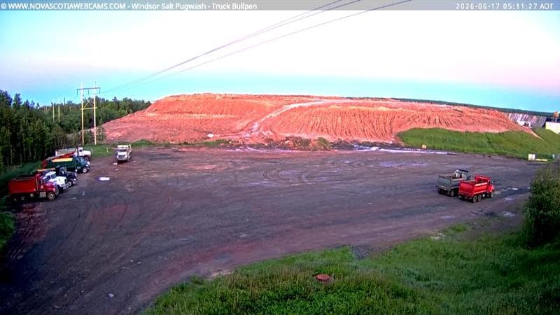 Windsor Salt