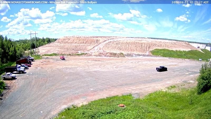 Windsor Salt