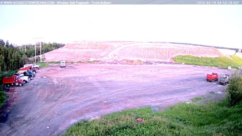 Windsor Salt
