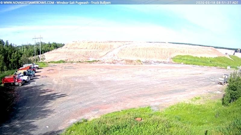 Windsor Salt