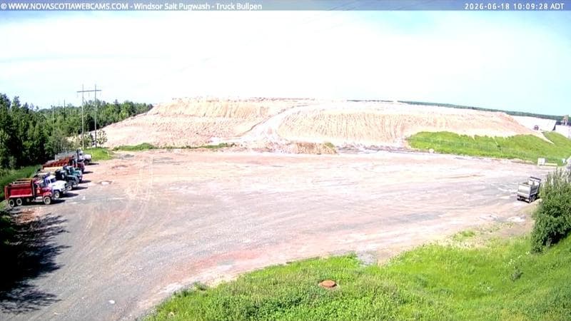 Windsor Salt