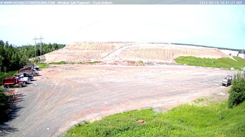 Windsor Salt