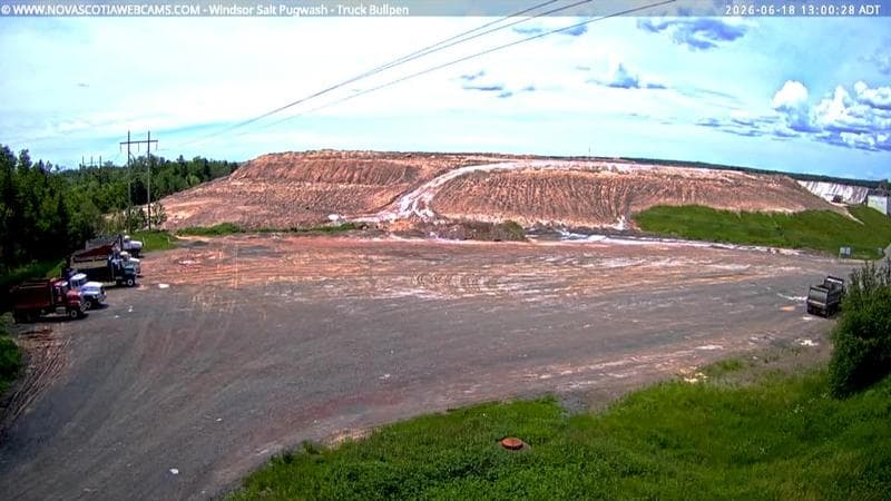 Windsor Salt