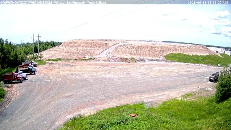 Windsor Salt