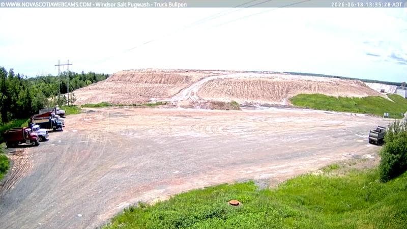 Windsor Salt