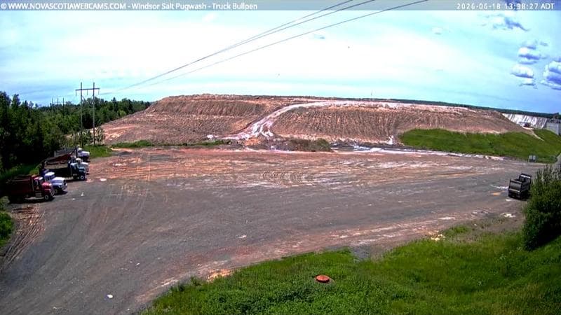 Windsor Salt