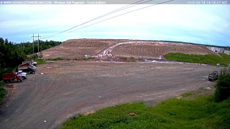 Windsor Salt