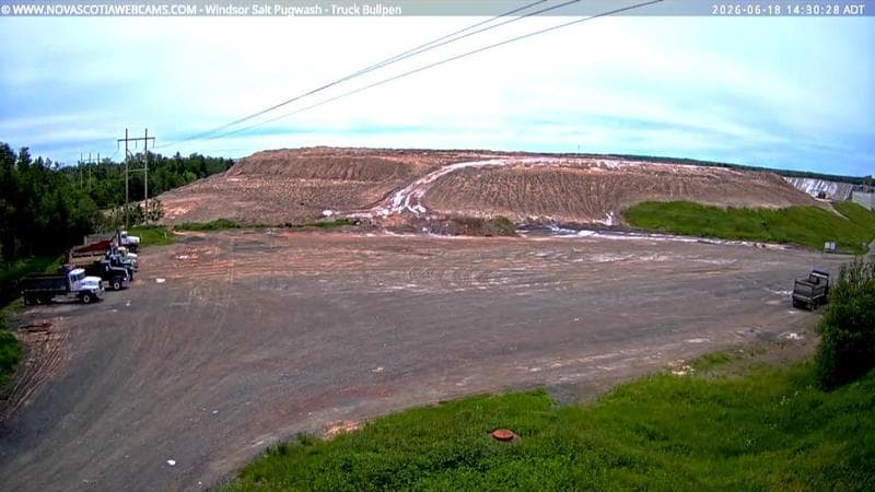 Windsor Salt