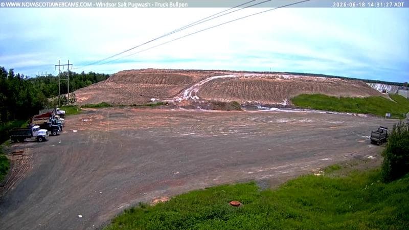 Windsor Salt