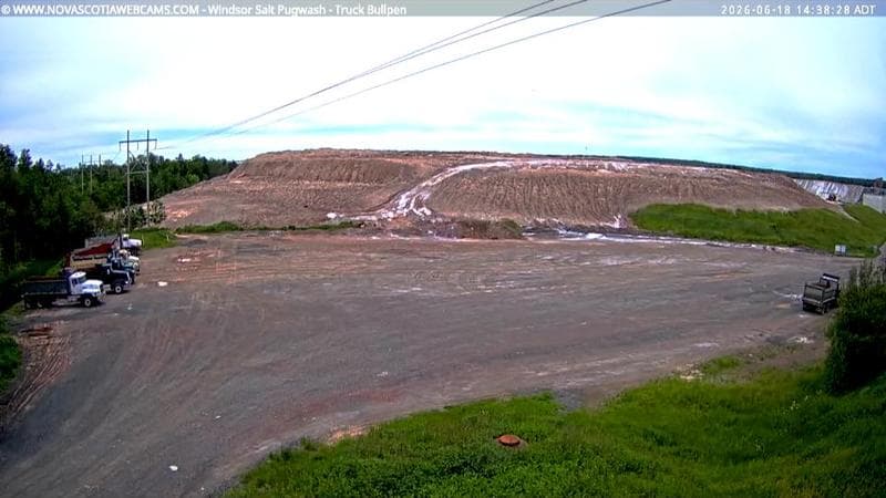 Windsor Salt
