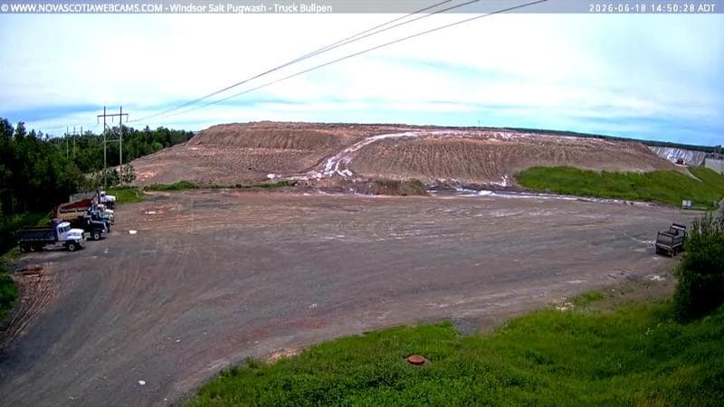 Windsor Salt