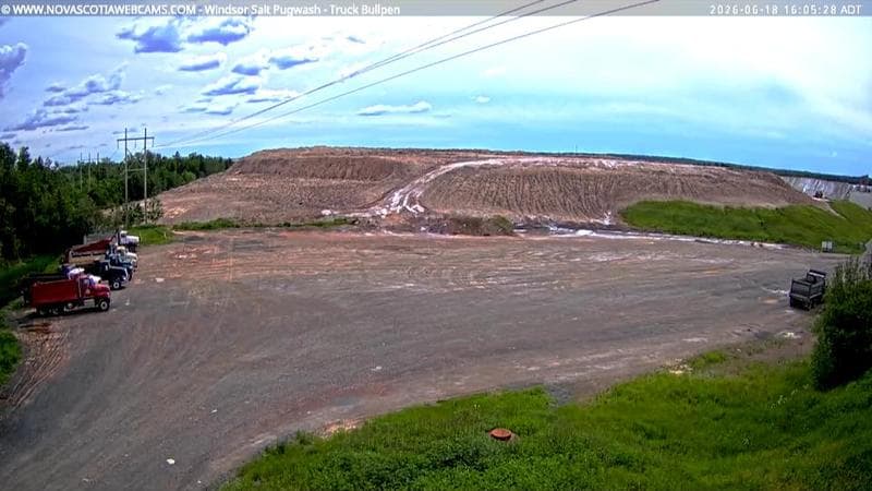 Windsor Salt
