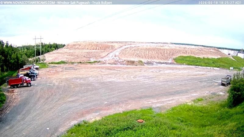 Windsor Salt