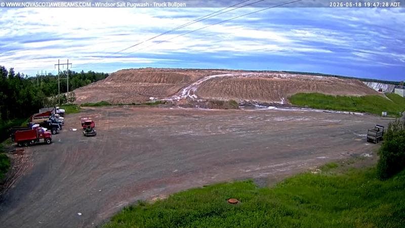 Windsor Salt